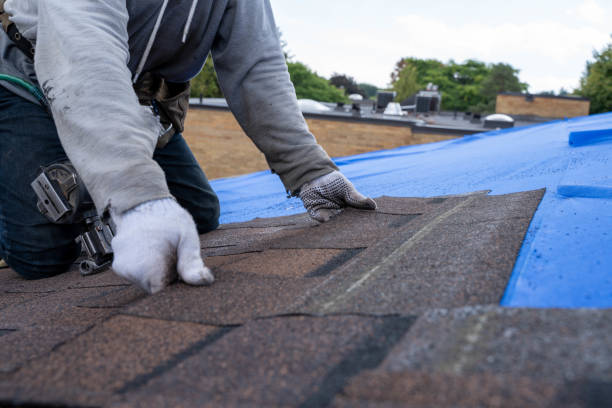 Roof Repair Estimates in Edinburg, IL