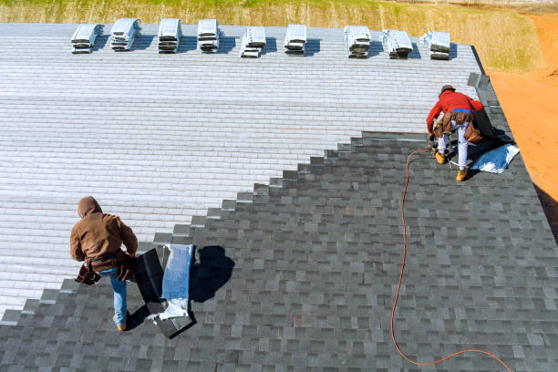 Best Roof Repair Services  in Edinburg, IL