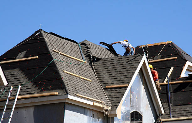 Gutter Installation and Roofing in Edinburg, IL